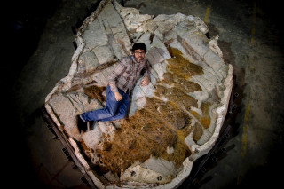 David Evans lays next to the fossilized armor of the ankylosaur.