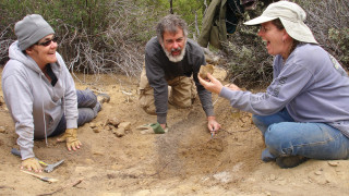NHMU Volunteers on a paleontology dig in the field. 