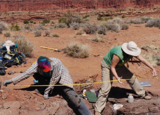 Paleontologists map a discovery they have uncovered in the desert.