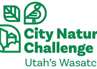 A green logo for the City Nature Challenge