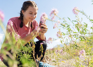A young woman in a pink shirts crouches to take a picture of a pink flower